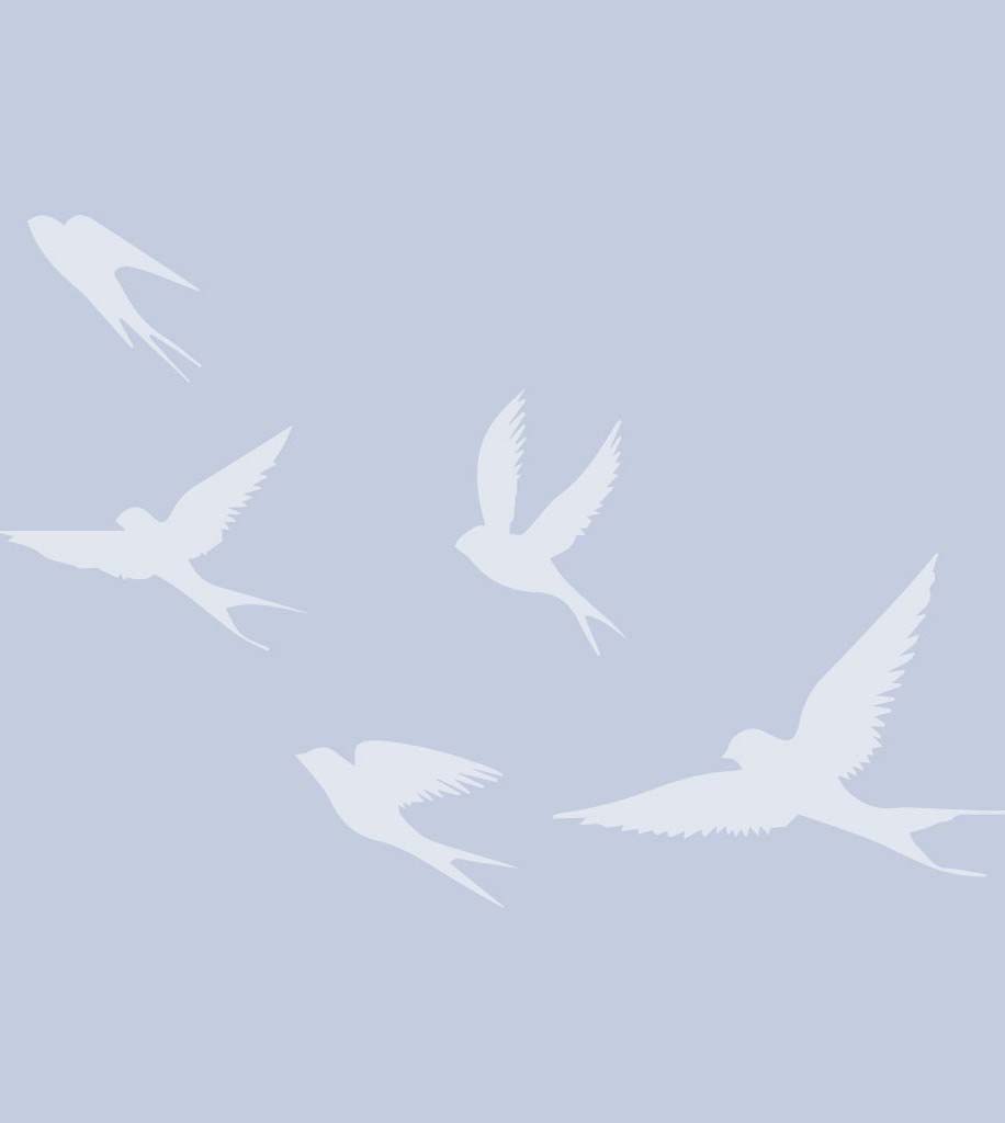 A. Jay Call