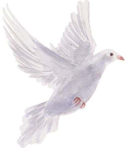 Robin J Smith-Verrilli
