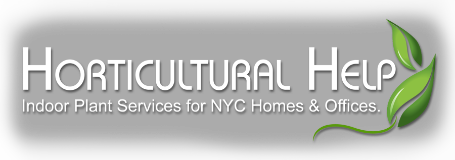 Horticultural Help - Indoor Plant Services for New York City Homes and Offices